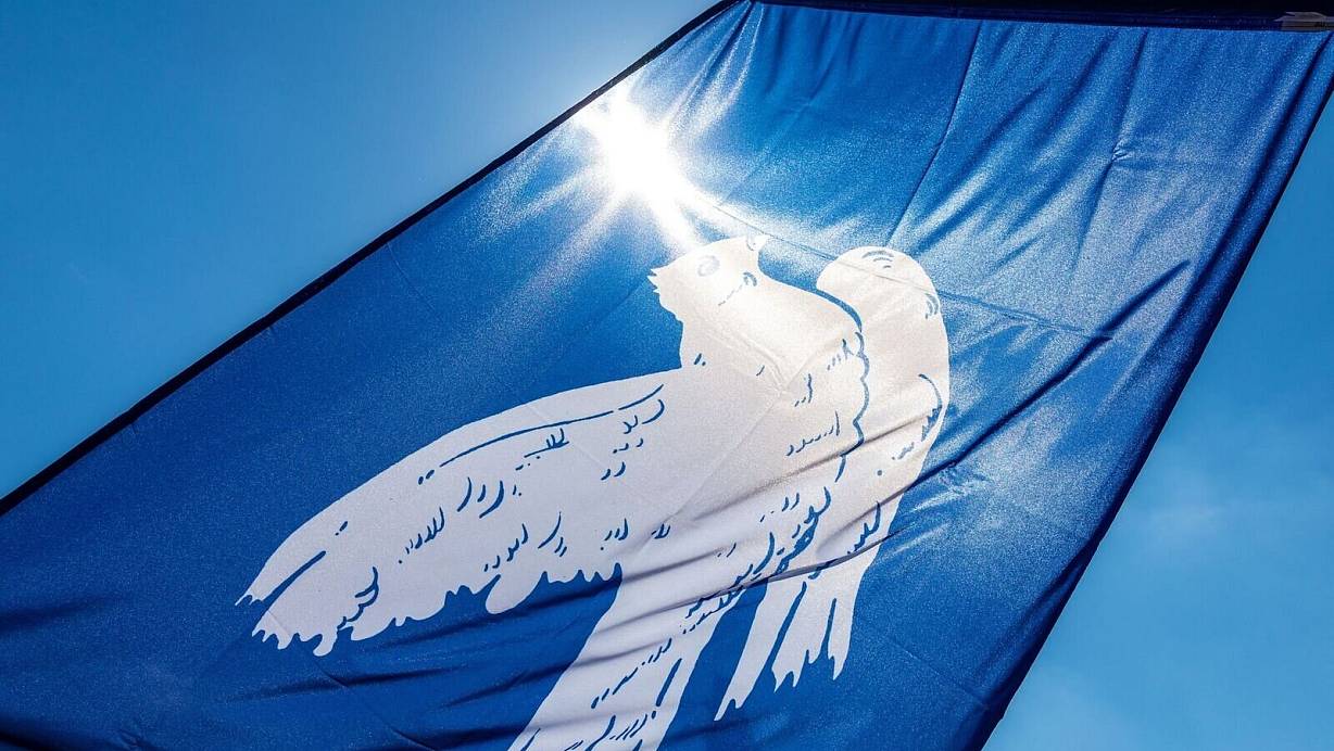 Mit einer Kriegsdienstverweigerung haben wehrpflichtige Menschen in Deutschland die Möglichkeit, einen bewaffneten Wehrdienst zu verweigern. | © Frank Hammerschmidt/dpa/dpa-tmn