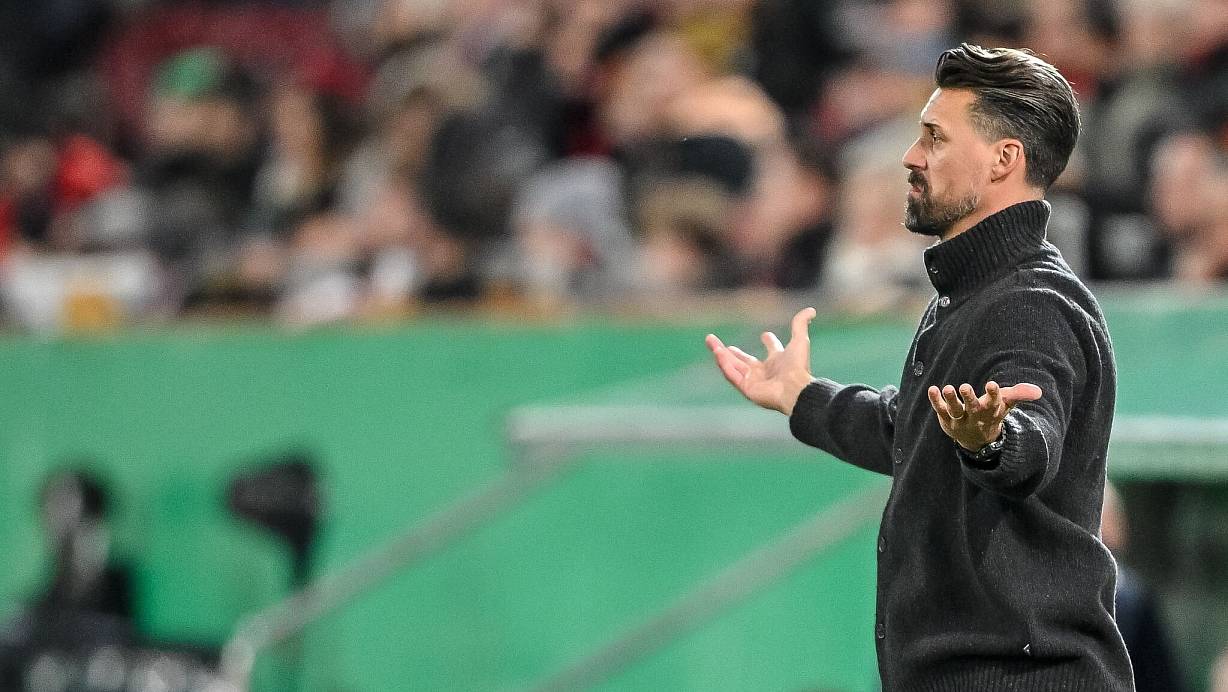 Auch im DFB-Pokal steht Sandro Wagner wieder mit leeren Händen da. | © Harry Langer/dpa