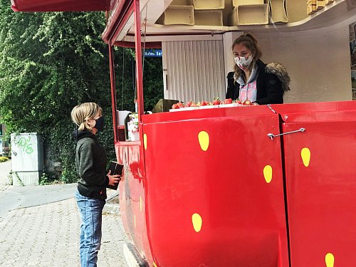 Seit Anfang der Woche steht in Pium wieder die große Böckmann-Erdbeere mit den ersten Früchten von den Feldern in Neuenkirchen. - © Anke Schneider