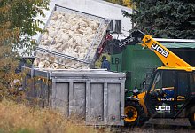 Vogelgrippe in Brandenburg - Christophe Gateau/dpa Vogelgrippe in Brandenburg - Christophe Gateau/dpa