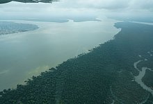 Überflug über das Amazonasgebiet - Larissa Schwedes/dpa Überflug über das Amazonasgebiet - Larissa Schwedes/dpa