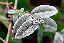 Wetter - Roberto Pfeil/dpa