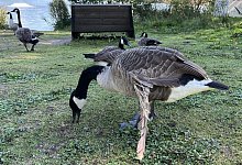 img_0535 - 1 - Gina Köhler