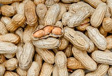 Erdnüsse - Markus Scholz/dpa Erdnüsse - Markus Scholz/dpa