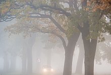 Auto fährt bei Nebel auf einer Landstraße - Patrick Pleul/dpa/dpa-tmn