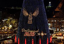 Riesiger Weihnachtsbaum auf dem Dortmunder Weihnachtsmarkt - Dieter Menne/dpa Riesiger Weihnachtsbaum auf dem Dortmunder Weihnachtsmarkt - Dieter Menne/dpa