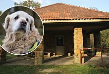 luckyyyy - Sylvia Tetmeyer / Rainer Kötter