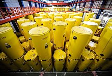 Castoren im Forschungszentrum Jülich - Andreas Endermann/dpa Castoren im Forschungszentrum Jülich - Andreas Endermann/dpa