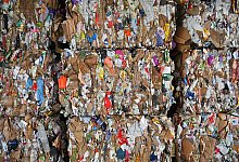 Recycling von Pappe - Patrick Pleul/dpa-Zentralbild/ZB