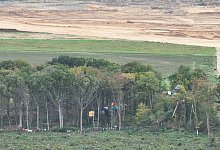 Besetztes Areal am Tagebau Hambach - Sascha Thelen/dpa