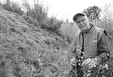 dsc_2481 - Marc Uthmann