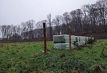 1000014796 - Anja Hanneforth