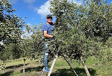 whatsapp-image-2025-10-30-at-173641 - 1 - Daniel Glück