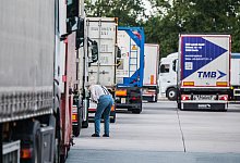 Zu wenig Lastwagen-Parkplätze an Autobahnen - Andreas Arnold/dpa