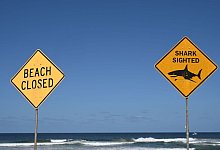 Tödlicher Hai-Angriff vor australischer Ostküste - Dean Lewins/AAP/dpa Tödlicher Hai-Angriff vor australischer Ostküste - Dean Lewins/AAP/dpa