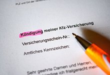 Kugelschreiber auf Antrag zur Kündigung der Kfz-Versicherung - Jonas Walzberg/dpa/dpa-tmn