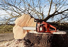 chainsaw-4815949_1280 - Symbolfoto Pixabay