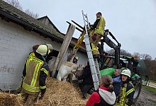 «Pirat» bleibt bei Fluchtversuch stecken - -/Feuerwehr Datteln/dpa «Pirat» bleibt bei Fluchtversuch stecken - -/Feuerwehr Datteln/dpa