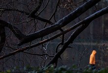 Kälte in Köln - Rolf Vennenbernd/dpa