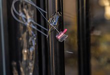 Mutmaßliche Vergiftungen in Istanbul - Ahmed Deeb/dpa Mutmaßliche Vergiftungen in Istanbul - Ahmed Deeb/dpa