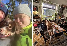 auswanderung-schweden - 1 - Pia Tholander-Harraß