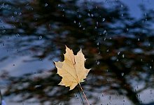Herbstwetter - Bernd Thissen/dpa Herbstwetter - Bernd Thissen/dpa