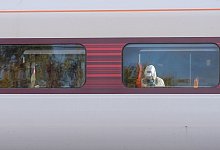 Angriff in Zug in England - Joe Giddens/PA Wire/dpa