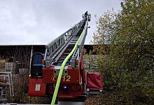 whatsapp-image-2025-11-17-at-114444 - Meiko Haselhorst