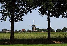 Windmu?hle Olde Mölle in Neede - Bernd F. Meier/dpa-tmn