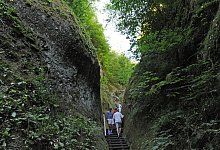 Wanderer gehen durch die Marienschlucht am Bodensee - Patrick Seeger/dpa/dpa-tmn