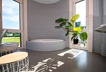 Eine Zimmerpflanze im Badezimmer - Guido Kirchner/dpa/dpa-tmn