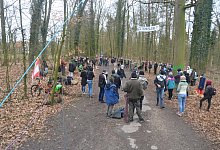 80 Personen haben am sogenannten Future-Plenum der Baumbesetzer im Storck-Wald am Samstag teilgenommen. - Ekkehard Hufendiek