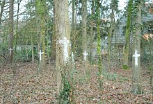 Kreuze im Storckwald - Heiko Kaiser