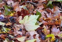 Deutscher Wetterdienst veröffentlicht die Oktober-Bilanz - Soeren Stache/dpa