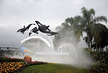 Eingang zum SeaWorld in Florida - Preston Mack/EPA/dpa-tmn Eingang zum SeaWorld in Florida - Preston Mack/EPA/dpa-tmn