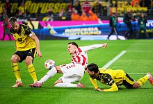 Borussia Dortmund - 1. FC Köln - Bernd Thissen/dpa Borussia Dortmund - 1. FC Köln - Bernd Thissen/dpa
