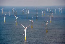 Offshore-Windpark «Butendiek» in der Nordsee - Daniel Reinhardt/dpa