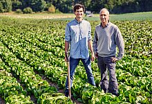 112a6096_filter - Turiel