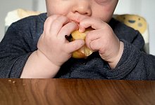 Ein sieben Monate altes Babz isst einen Apfel - Zacharie Scheurer/dpa-tmn Ein sieben Monate altes Babz isst einen Apfel - Zacharie Scheurer/dpa-tmn