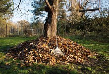 Aufgeschichtetes Laub in einem Garten - Florian Schuh/dpa-tmn Aufgeschichtetes Laub in einem Garten - Florian Schuh/dpa-tmn