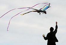 Mann lässt einen Drachen steigen - Franziska Gabbert/dpa-tmn