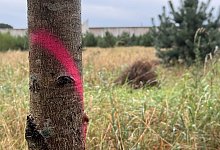 img_5906 - Frank Jasper