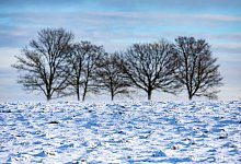 Frostiges Wetter in Nordrhein-Westfalen - Thomas Banneyer/dpa Frostiges Wetter in Nordrhein-Westfalen - Thomas Banneyer/dpa