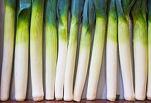 Lauchstangen liegen in ener Kiste - Robert Günther/dpa-tmn