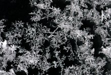 Erste Schneeflocken im Sauerland - Matthias Hiekel/dpa Erste Schneeflocken im Sauerland - Matthias Hiekel/dpa