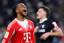 Bayern München - SC Freiburg - Sven Hoppe/dpa Bayern München - SC Freiburg - Sven Hoppe/dpa