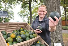 dsc_7798 - Frank Jasper