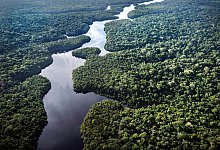 Klimaforschungszentrum im Amazonas - Jorge Saenz/AP/dpa