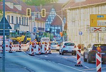 2d4_8212-4-1 - Nicole Donath