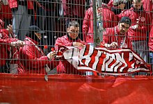 FC Energie Cottbus - RB Leipzig - Robert Michael/dpa FC Energie Cottbus - RB Leipzig - Robert Michael/dpa